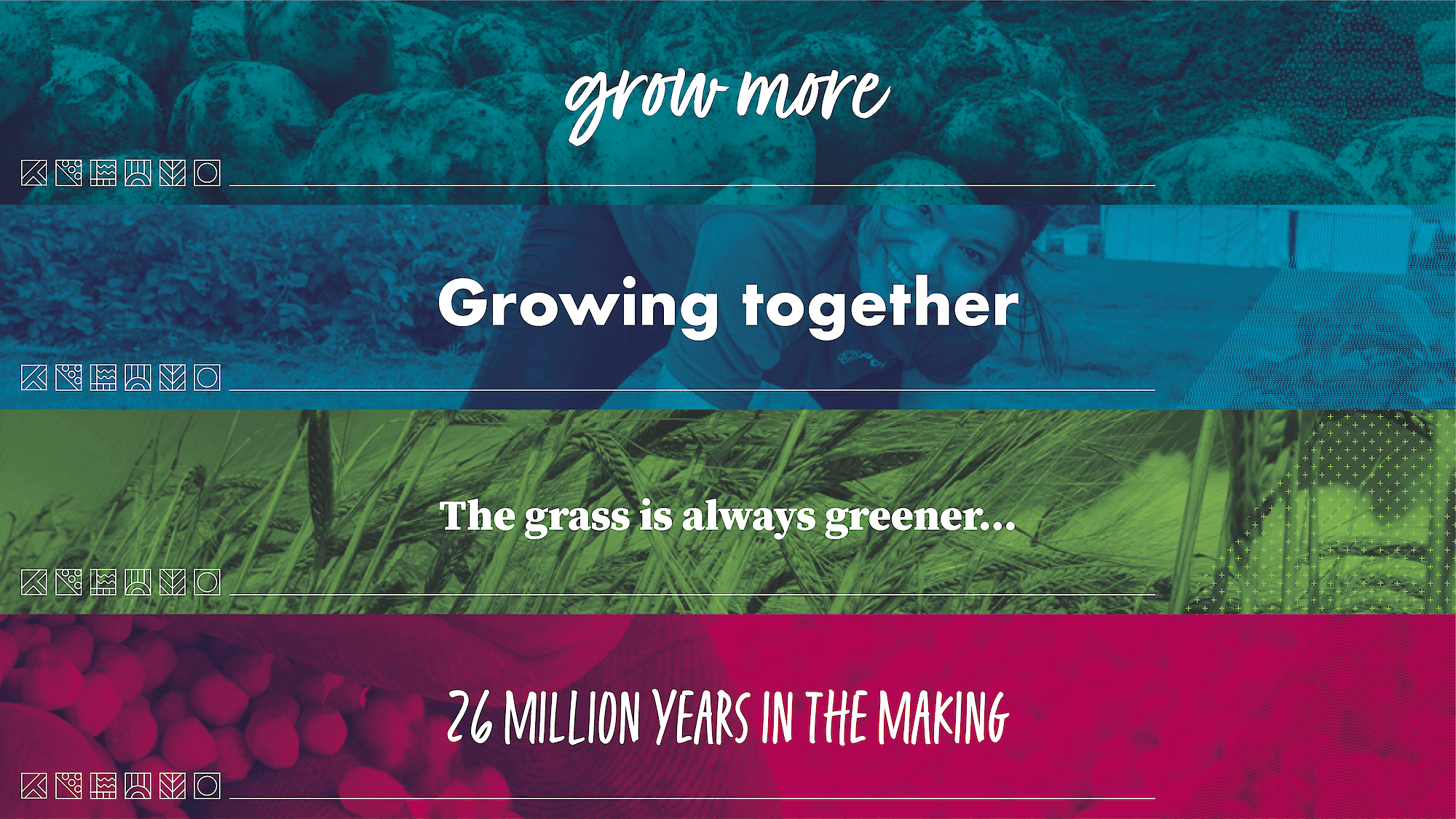 Poly4 strapline development concepts