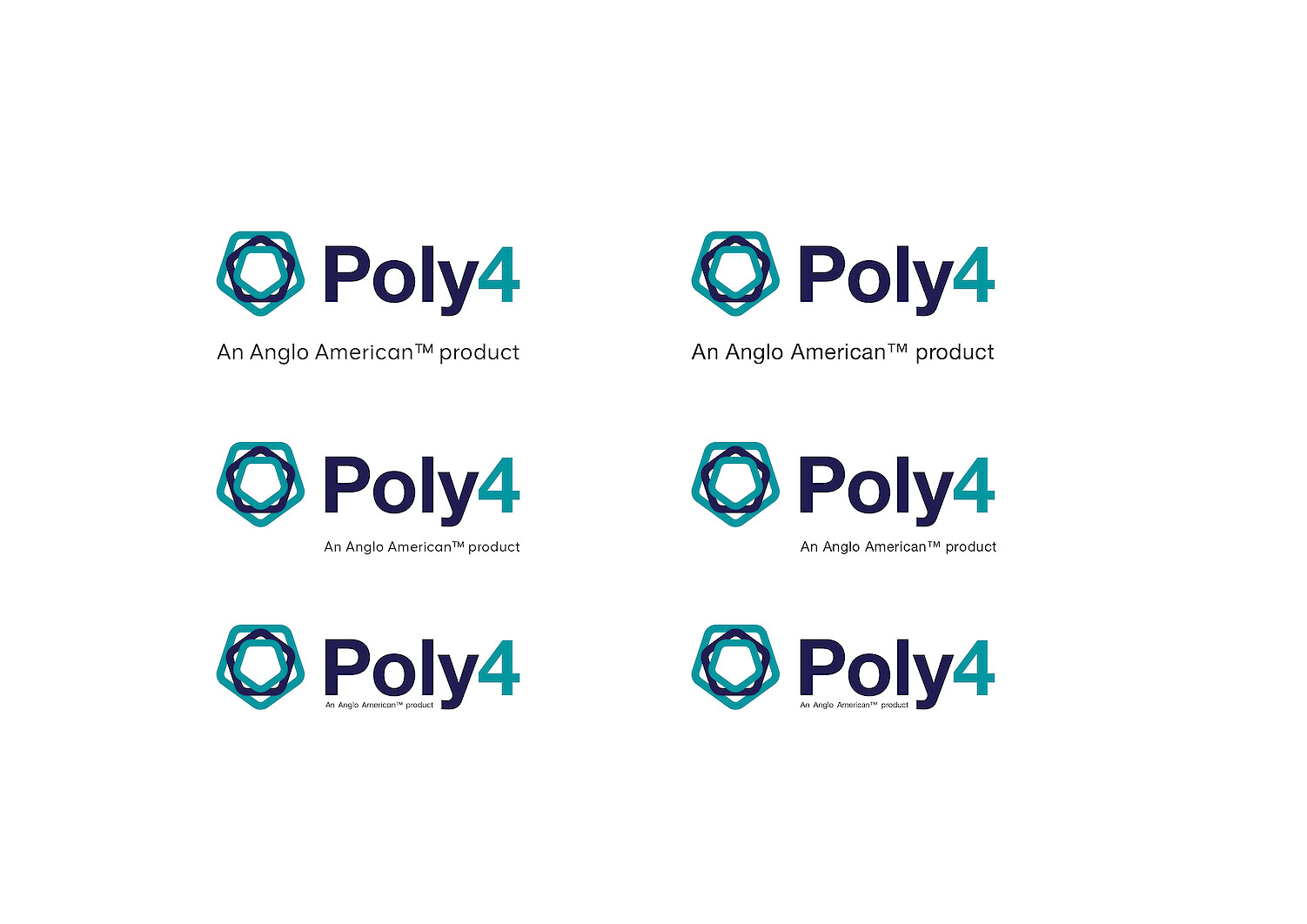 Logo development for Poly4