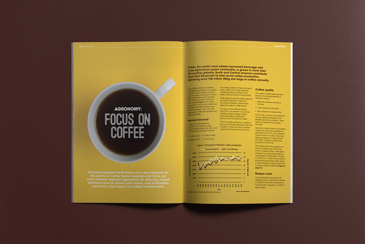 Internal comms magazine editorial layout, design and graphics