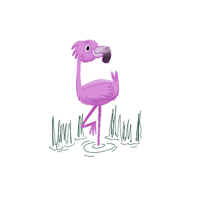 Flamingo sketch