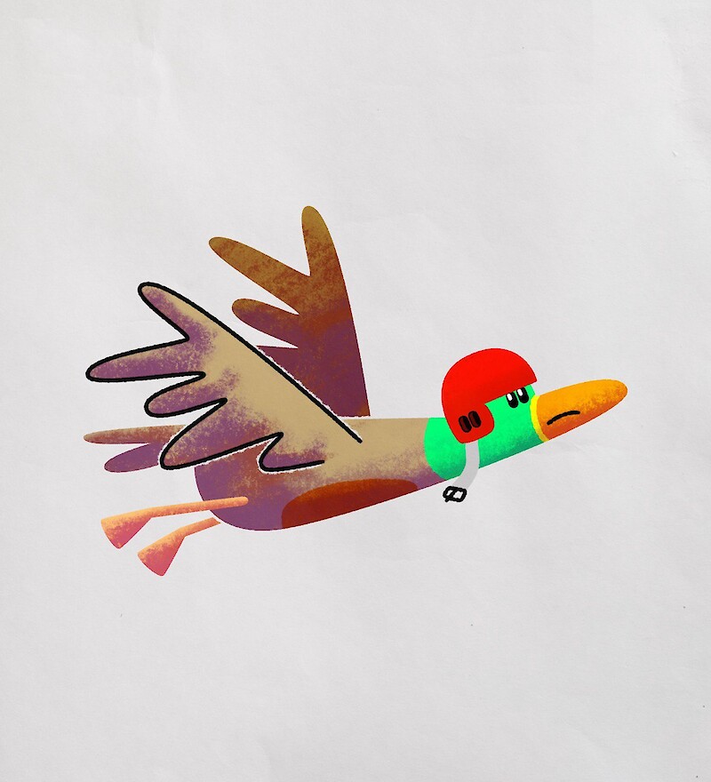 Duck with safety helmet sketch