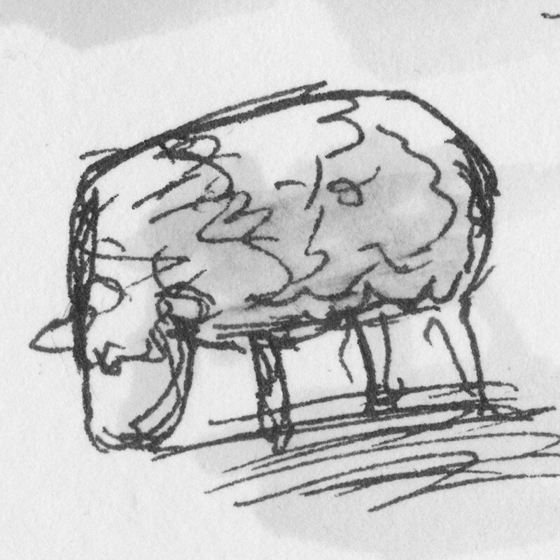 Tiny sheep 2