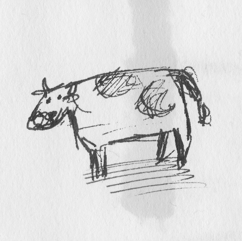 Tiny cow