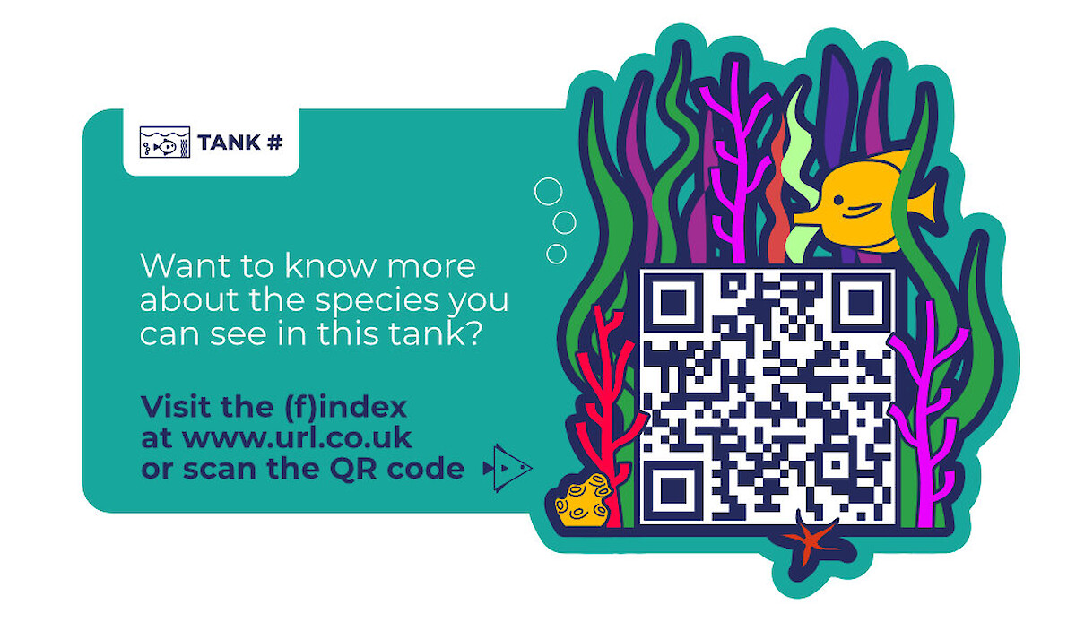 Fish finder illustrated QR code panel