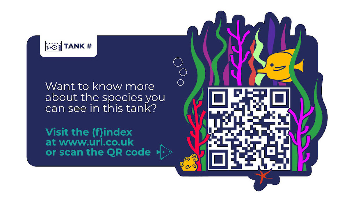 Fish finder illustrated QR code panel