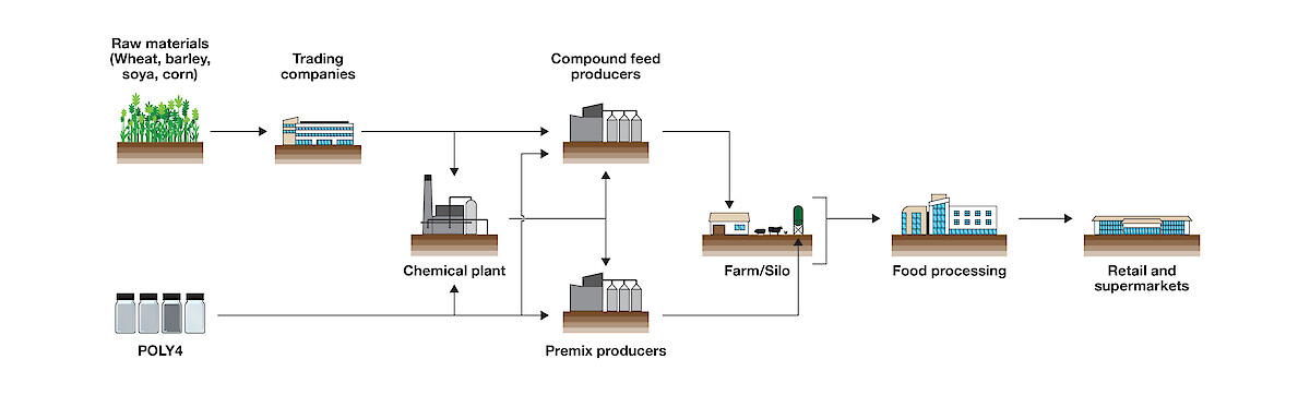 Infographic to show the process of a fertiliser product from mine to plate. © Copyright Anglo American Woodsmith Limited.